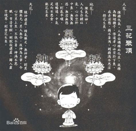 三花聚頂意思|道教內丹術修煉中「三花聚頂，五氣朝元」是什麼意思！